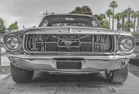 黑白风福特野马汽车图片